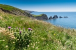 Hartland Quay