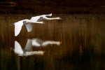 Formation flying