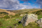 Towards Wistman's Wood