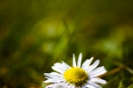 Solitude