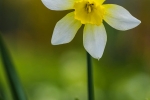A touch of Spring