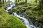 Cascade