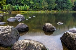 Rocks and Trees