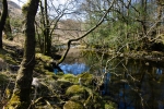 River Rothay