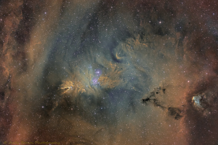 The Cone & Fox Fur Nebula and Christmas Tree Cluster