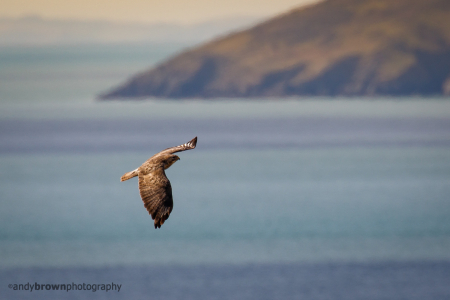 Over the sea