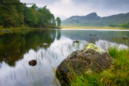 Blea Tarn