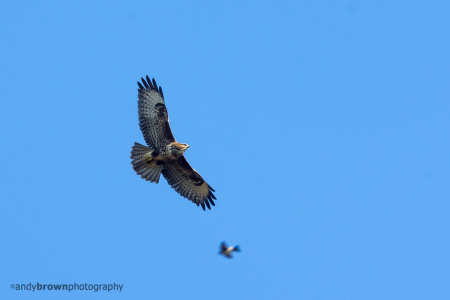 Flyby