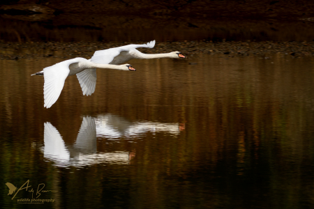 Formation flying (Explored 10 October 2016)