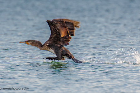 Take off