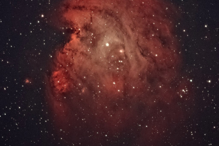 Monkey Head Nebula