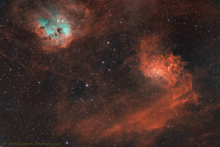 Flaming Star and The Tadpoles (in Explore 23 Jan 2022)
