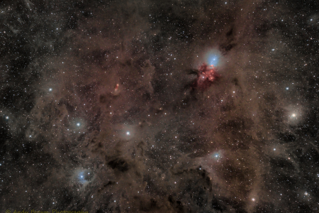 NGC 1333 (Embryo nebula) (in Explore 7 March 2022)