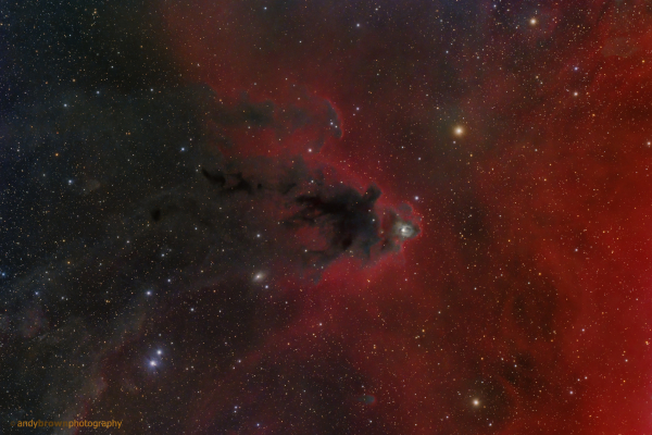 The Boogeyman Nebula (LDN1622) (In Explore 14 Jan 2024)