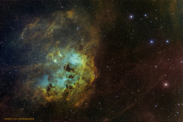 The Tadpoles (IC410)