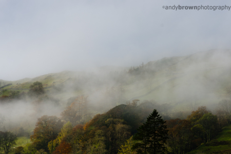 Mist in the valley